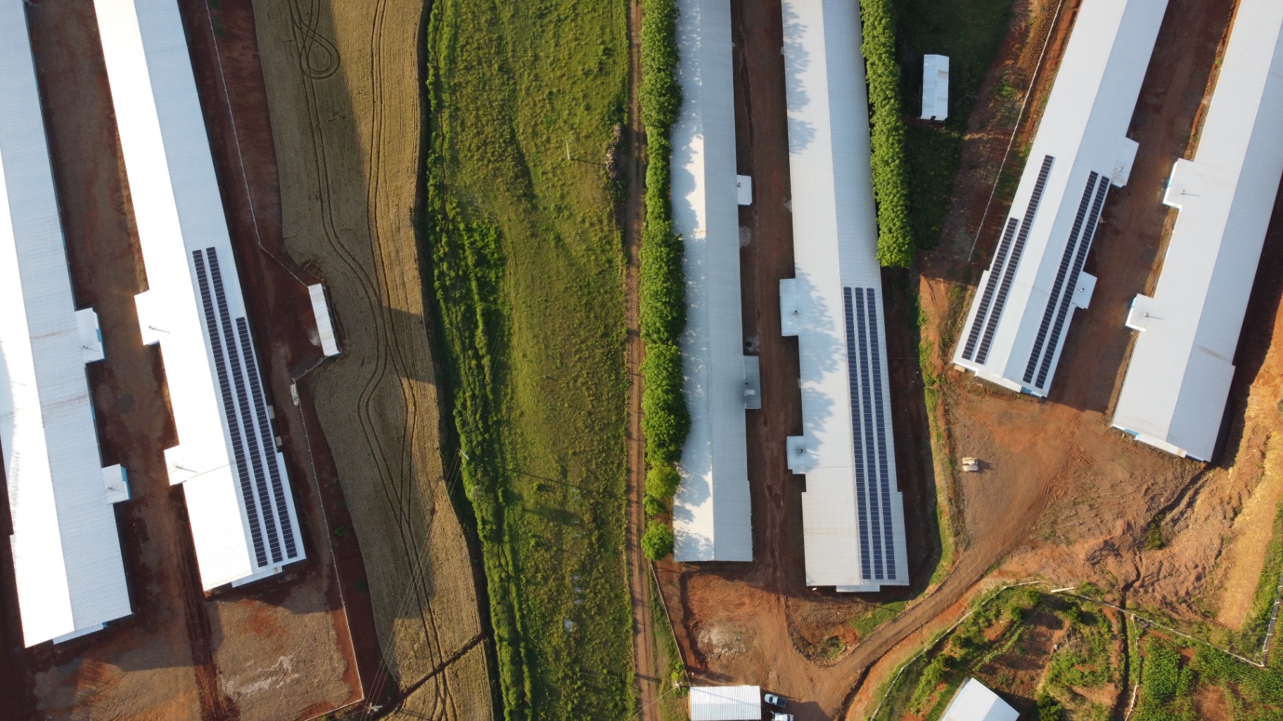 Projeto Projeal: Complexo agroindustrial