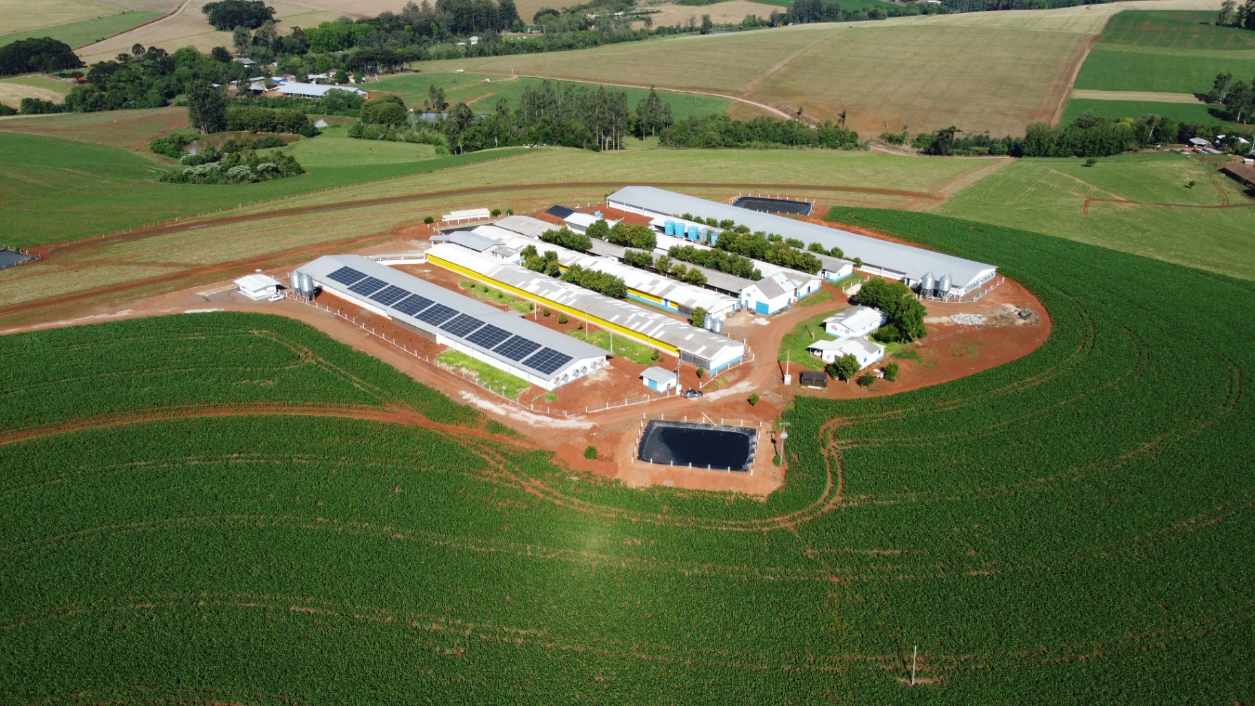 Projeto Projeal: Agroindústria